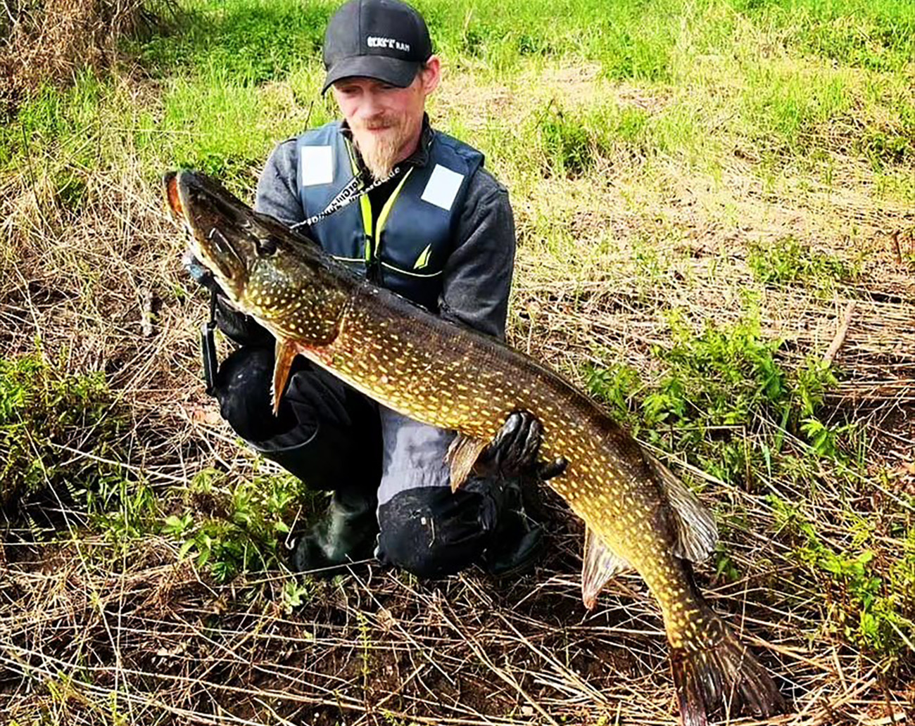 Holmström Baits Monster Tail